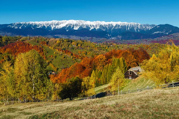 Picturesque Autumn Landscape Colorful Deciduous Forest Hills Colorful Forest Slope — Stock Photo, Image