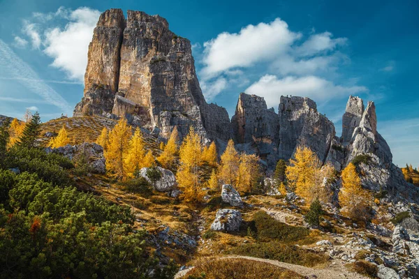 意大利 意大利 白云石 色彩艳丽的落叶松和著名的金雀花悬崖峭壁 令人叹为观止的高山秋景 — 图库照片