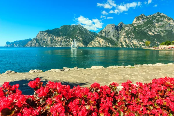 Red flowers,mountains and Lake Garda,Northern Italy,Europe — Stock Photo, Image