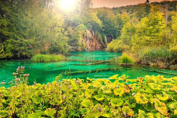 Parque Nacional de los Lagos de Plitvice en Croacia, Europa — Foto de Stock