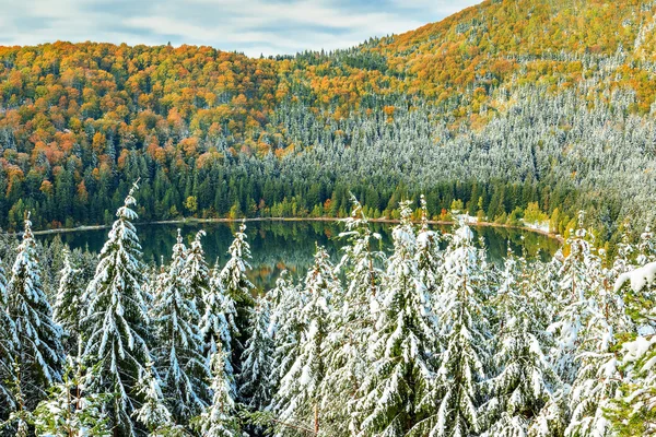 Snötäckta träd och färgglad höst landskap, st anna sjö, Rumänien — Stockfoto