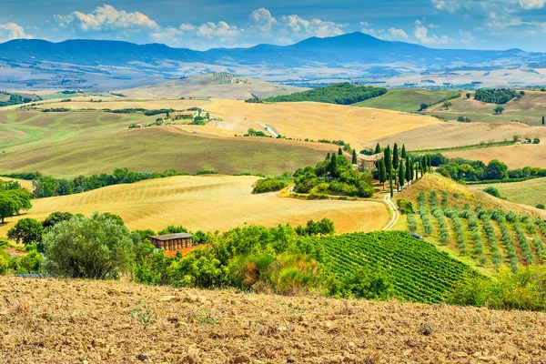 Paisaje típico de la Toscana, San Quirico d 'Orcia, Italia, Europa —  Fotos de Stock