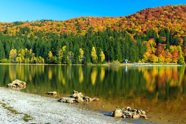 秋の風景とカラフルな森、聖アナ湖、ルーマニア、トランシルヴァニア — ストック写真