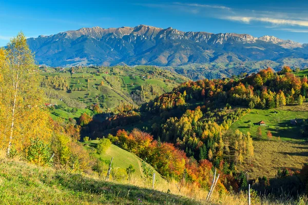 Champs verts et forêt d'automne colorée, village de Magura, Transylvanie, Roumanie — Photo