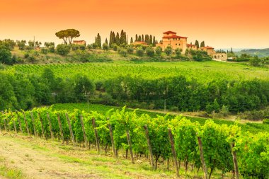 Chianti bağ Peyzaj taş ev, Tuscany, İtalya, Avrupa