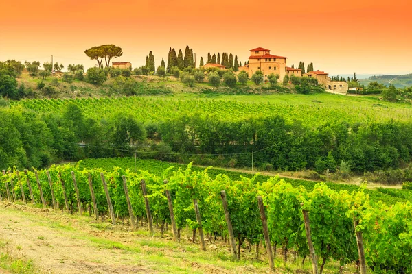 Chianti vingård landskap med stenhus, Toscana i Italien, Europa — Stockfoto