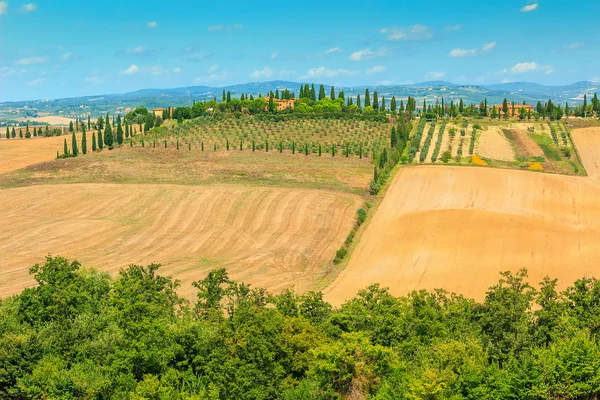 Typical Tuscany landscape,Siena region,Italy,Europe — Stock Photo, Image
