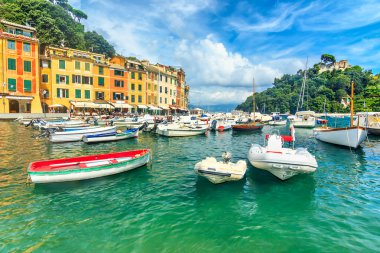 Tipik Akdeniz binalar, kale ve liman, Portofino, Liguria, Europe