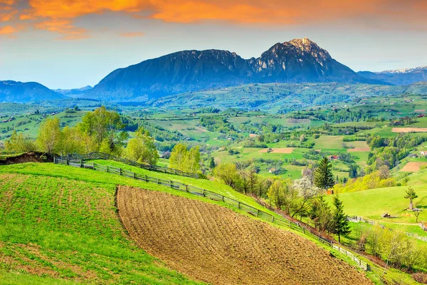 Spring landscape and rural gardens, Holbav, Transylvania, Romania, Europe — стоковое фото