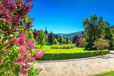 Fantastik süs Bahçe ve Sarayı, Peles Kalesi, Sinaia, Romanya, Avrupa