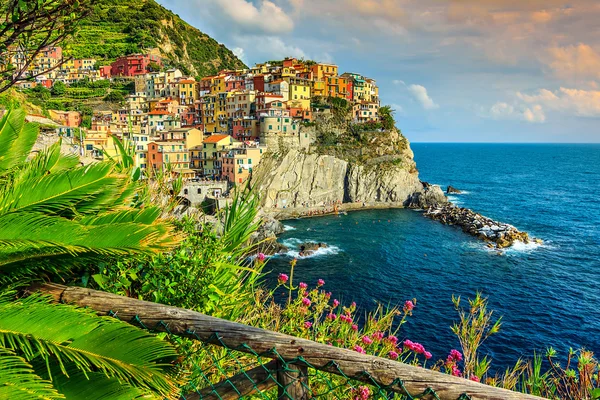 Manarola село на Чінкве Терре частину узбережжя Італії, Європа — стокове фото