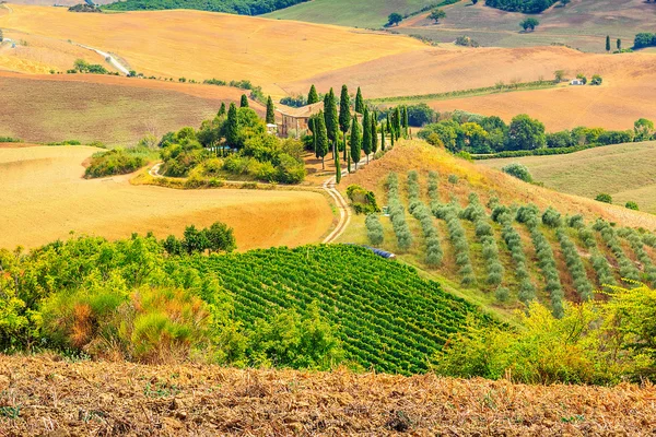 Χαρακτηριστικό τοπίο της Τοσκάνης, San Quirico d'Orcia, Ιταλία, Ευρώπη — Φωτογραφία Αρχείου