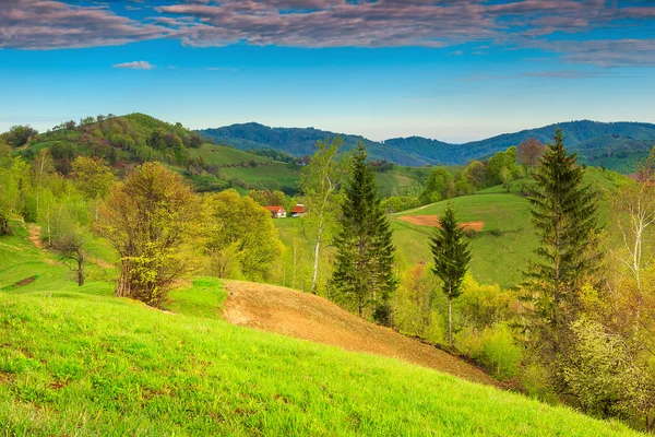 Wiosnę krajobraz i pola uprawne, Holbav, Siedmiogród, Europa — Zdjęcie stockowe