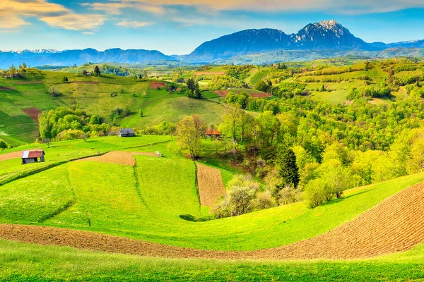 Άνοιξη τοπίο και αγροτικό χωριό, Holbav, Τρανσυλβανία, Ρουμανία, Ευρώπη — Φωτογραφία Αρχείου
