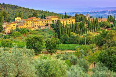 Kasaba ve zeytin ekimi tepe üzerinde Tuscany yatay 