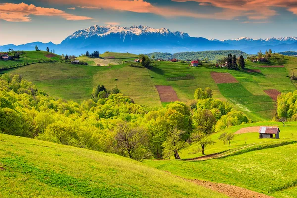 Primavera paisagem e aldeia rural, Holbav, Transilvânia, Roménia, Europa — Fotografia de Stock