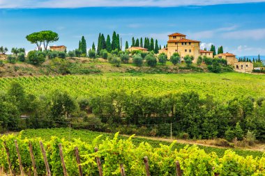 Chianti bağ Peyzaj taş ev, Tuscany, İtalya, Avrupa