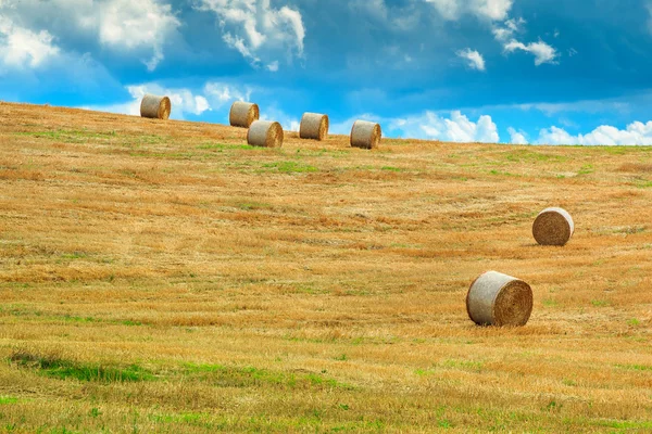 Hay bales on the field after harvest,Tuscany,Italy,Europe — Stock Photo, Image