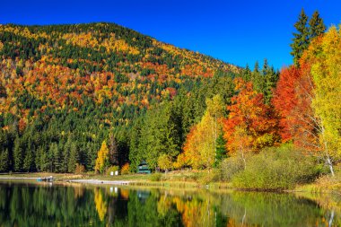Sonbahar yatay, renkli orman, St Ana Gölü, Transilvanya, Romanya
