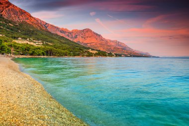 Çakıl plaj, Brela, Makarska riviera, Dalmaçya, Hırvatistan ile güzel defne