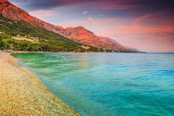 Çakıl plaj, Brela, Makarska riviera, Dalmaçya, Hırvatistan ile güzel defne — Stok fotoğraf