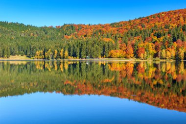 Sonbahar yatay, renkli orman, St Ana Gölü, Transilvanya, Romanya