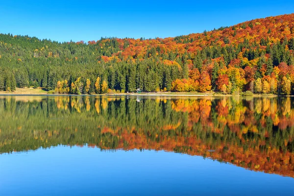 Paisagem de outono com floresta colorida, St Ana Lake, Transilvânia, Romênia — Fotografia de Stock