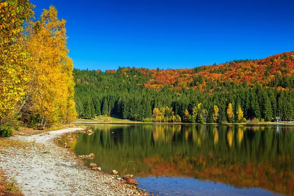 Paisagem de outono com floresta colorida, St Ana Lake, Transilvânia, Romênia — Fotografia de Stock