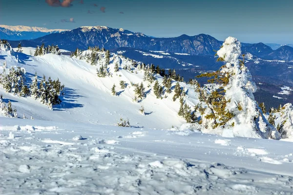 Fantastisk vinterlandskap med höga berg, Ciucas, Transsylvanien, Rumänien — Stockfoto