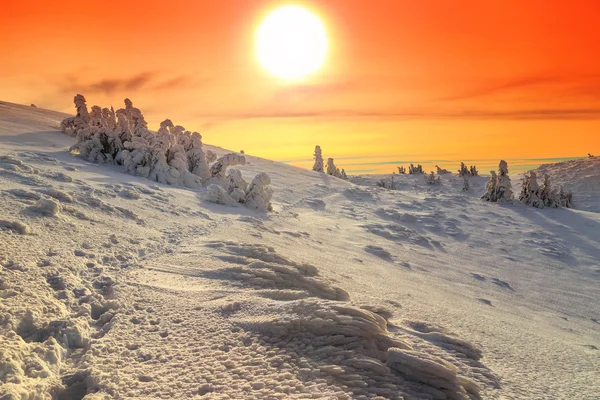 Snöiga landskap med färgglada solnedgången, Karpaterna, Transsylvanien, Rumänien, Europa — Stockfoto