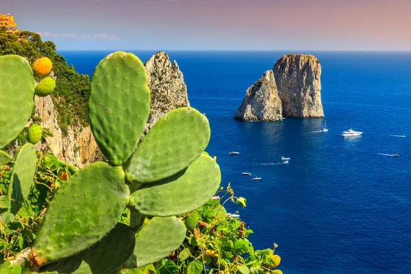 Потрясающий остров Капри с скалами Фаральони, Италия, Европа — стоковое фото