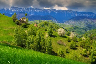 Bahar Peyzaj ve kırsal köy, Pestera, Transilvanya, Romanya, Europe