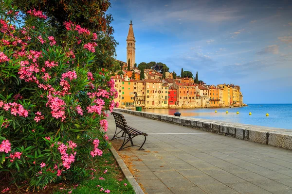 Prachtige stadsgezicht met oude stad van Rovinj, Istrië regio, Kroatië, Europa — Stockfoto