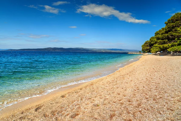 Çakıl plaj, Brela, Makarska riviera, Dalmaçya, Hırvatistan ile güzel defne — Stok fotoğraf