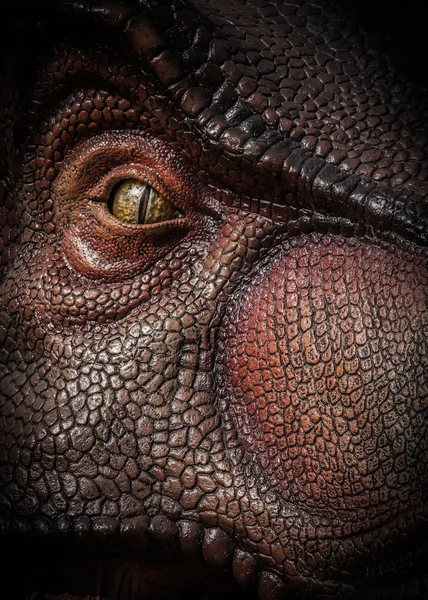 Tyrannosaurus rex — Stock fotografie