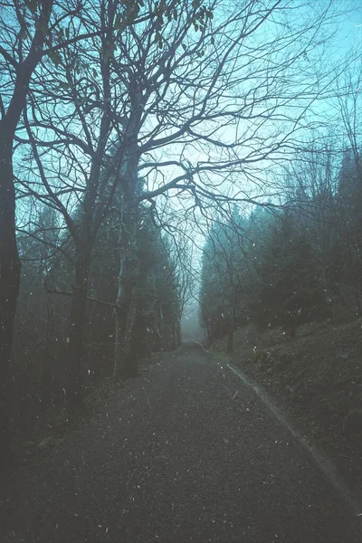 Jalan Dengan Kabut Gunung Musim Dingin Bilbao Spanyol — Stok Foto