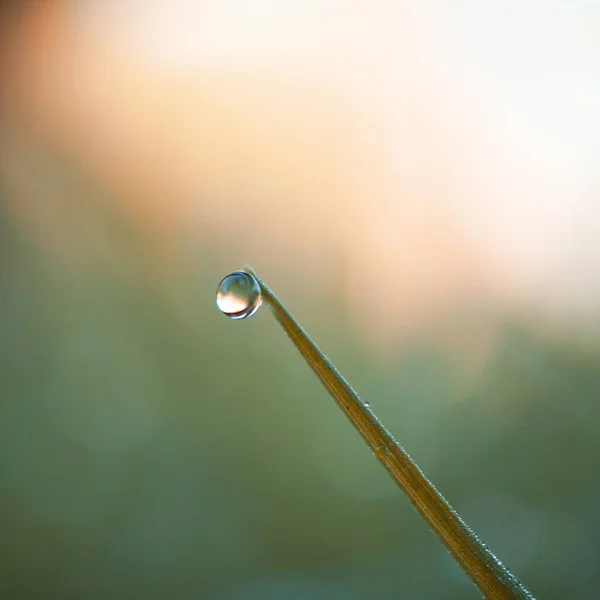 비오는 날푸른 떨어지는 — 스톡 사진