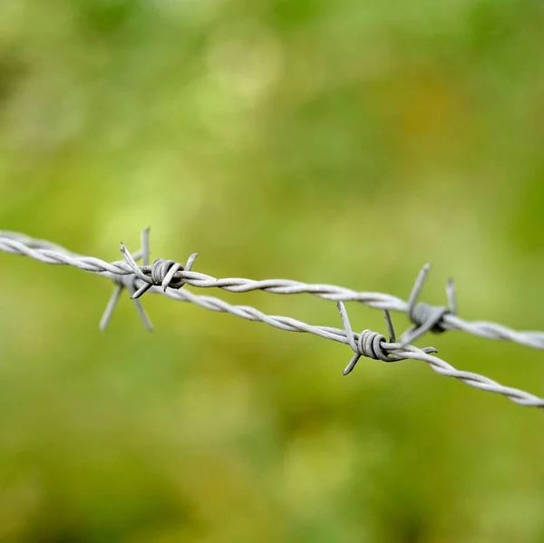 Old Metallic Barbed Wire Fence — Stock Photo, Image