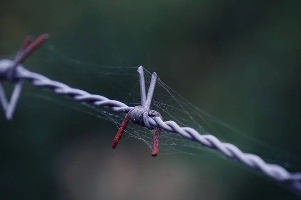 Cerca Alambre Púas Metálico Viejo —  Fotos de Stock