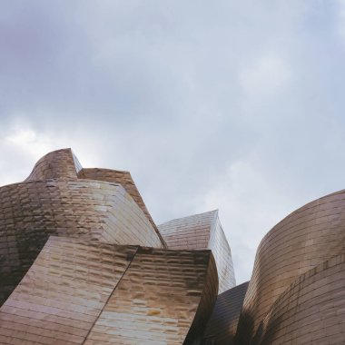                                Guggenheim Bilbao Müzesi Mimarisi
