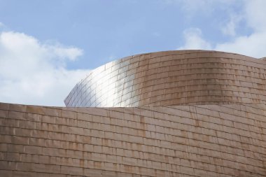                                Guggenheim Bilbao Müzesi Mimarisi