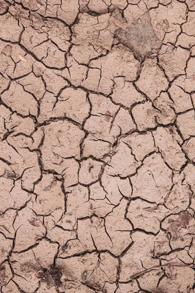 砂漠の土壌背景気候変動地球温暖化 — ストック写真