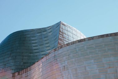                    Guggenheim Müzesi Mimarisi Bilbao, İspanya             