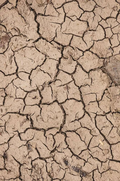 Sivatagi Földi Háttér Globális Felmelegedés — Stock Fotó