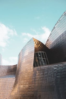                                Guggenheim Bilbao Müzesi Mimarisi