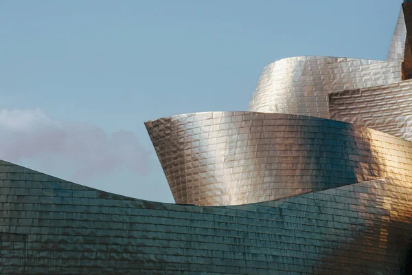                                Guggenheim Bilbao Müzesi Mimarisi