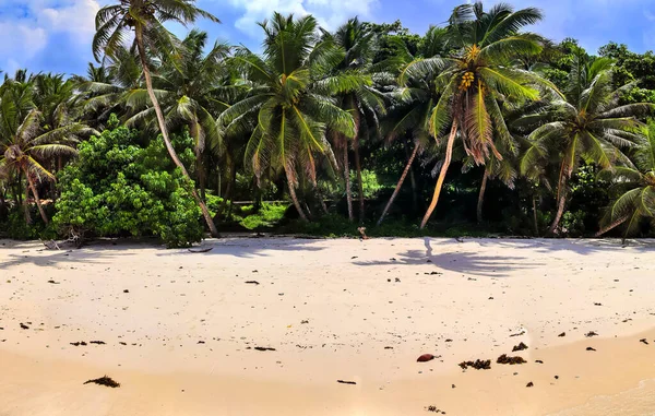 Splendido Panorama Sulla Spiaggia Alta Risoluzione Sulle Isole Paradisiache Seychelles — Foto Stock