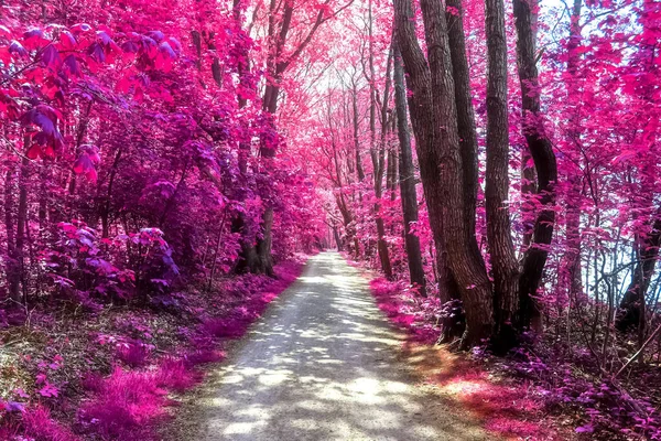 Bellissimo Panorama Infrarossi Rosa Viola Paesaggio Campagna Con Cielo Blu — Foto Stock