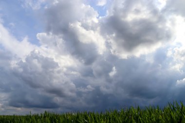 Fırtınadan hemen önce gökyüzünde sersemletici kara bulut oluşumları 