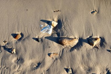 Kuzey Avrupa 'da güneşli bir günde Baltık Denizi' nin kumlu sahillerinde güzel bir manzara.